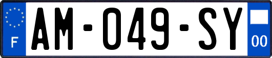 AM-049-SY