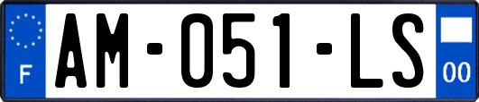 AM-051-LS