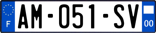 AM-051-SV