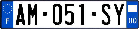 AM-051-SY
