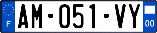 AM-051-VY