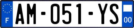 AM-051-YS