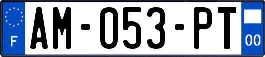 AM-053-PT