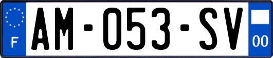 AM-053-SV