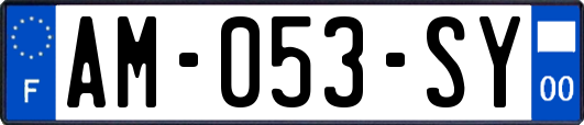 AM-053-SY