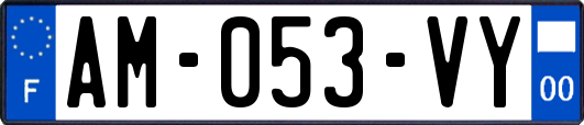 AM-053-VY