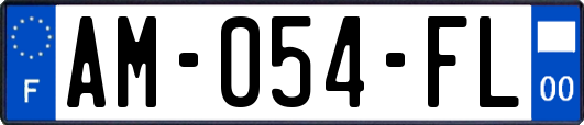 AM-054-FL