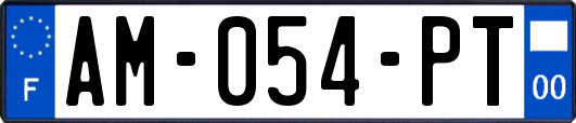 AM-054-PT