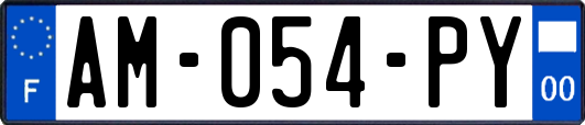 AM-054-PY