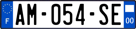 AM-054-SE