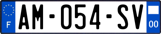 AM-054-SV