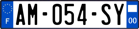 AM-054-SY