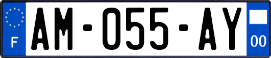 AM-055-AY