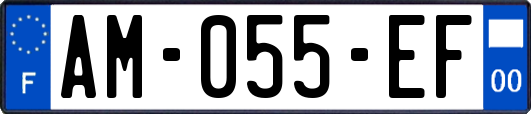 AM-055-EF