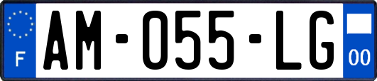 AM-055-LG