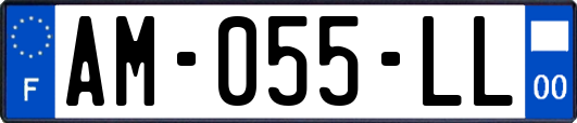 AM-055-LL