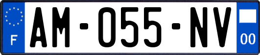 AM-055-NV