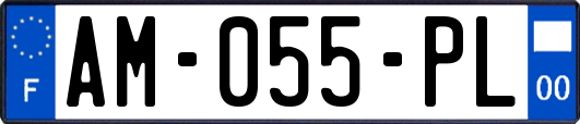 AM-055-PL