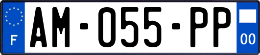 AM-055-PP