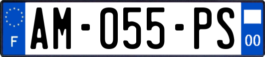 AM-055-PS