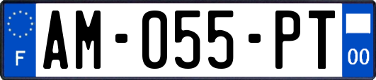 AM-055-PT