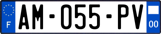 AM-055-PV