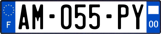 AM-055-PY