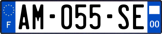 AM-055-SE