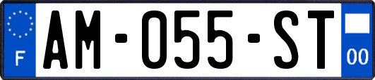 AM-055-ST