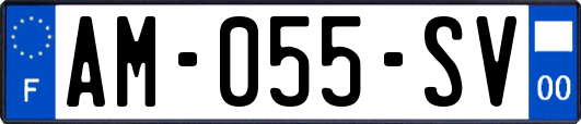 AM-055-SV