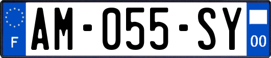 AM-055-SY