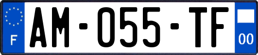 AM-055-TF
