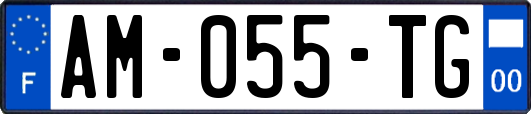 AM-055-TG