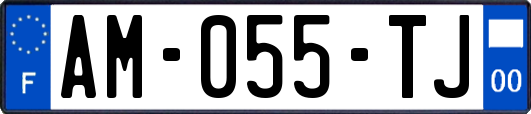 AM-055-TJ