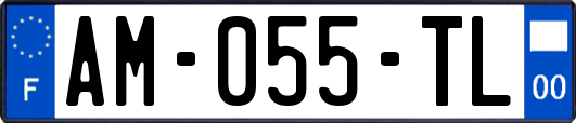 AM-055-TL