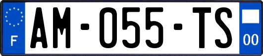 AM-055-TS
