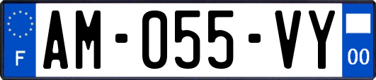 AM-055-VY