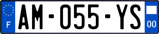 AM-055-YS