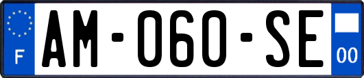 AM-060-SE