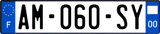AM-060-SY