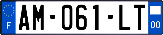 AM-061-LT