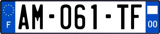 AM-061-TF