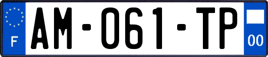 AM-061-TP