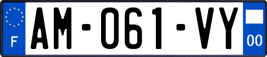 AM-061-VY