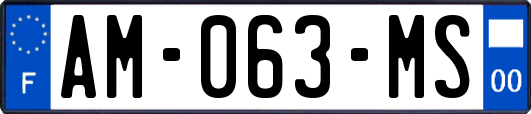 AM-063-MS