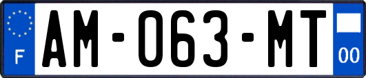 AM-063-MT