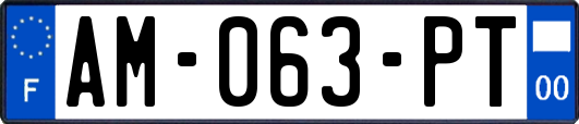 AM-063-PT