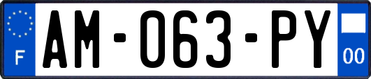 AM-063-PY