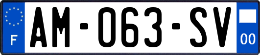 AM-063-SV
