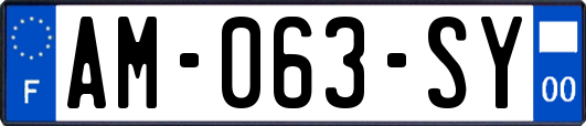 AM-063-SY